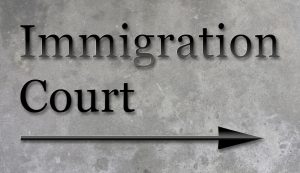 Deportation Defense